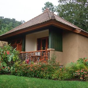 Double Room Mountain View